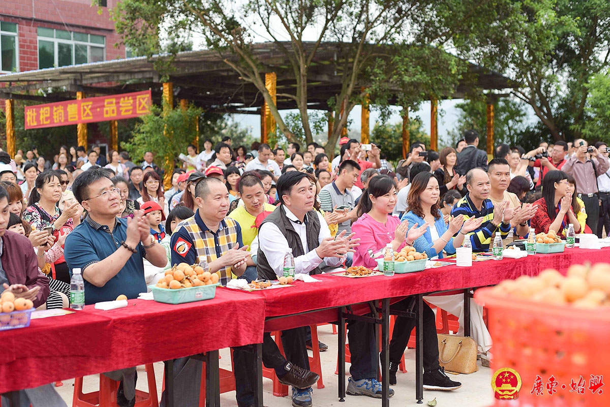 2015始興縣枇杷節